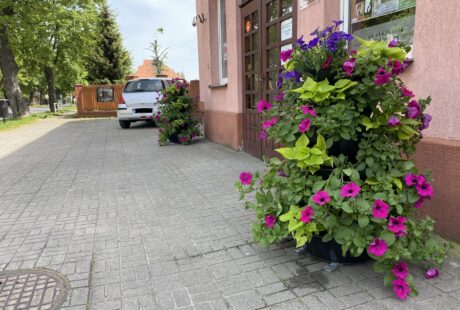 Kwiatowe kaskady na ulicy 1 Maja w sąsiedztwie Filii Miejskiego Domu Kultury