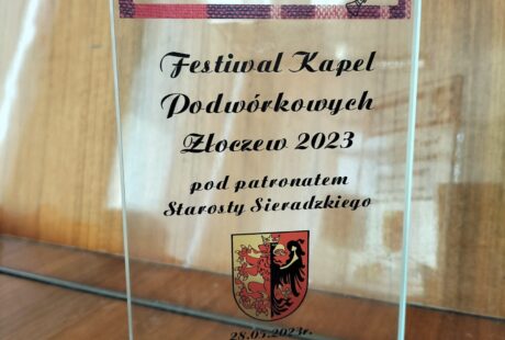 Kapela Webry na festiwalu w Złoczewie