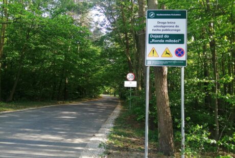 Znaki drogowe przy wjeździe na wysadzaną drzewami drogę, wskazujące różne ostrzeżenia, w tym ograniczenie prędkości do 30 km/h i zakaz wyprzedzania.